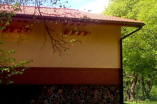 Chrońmy jerzyki